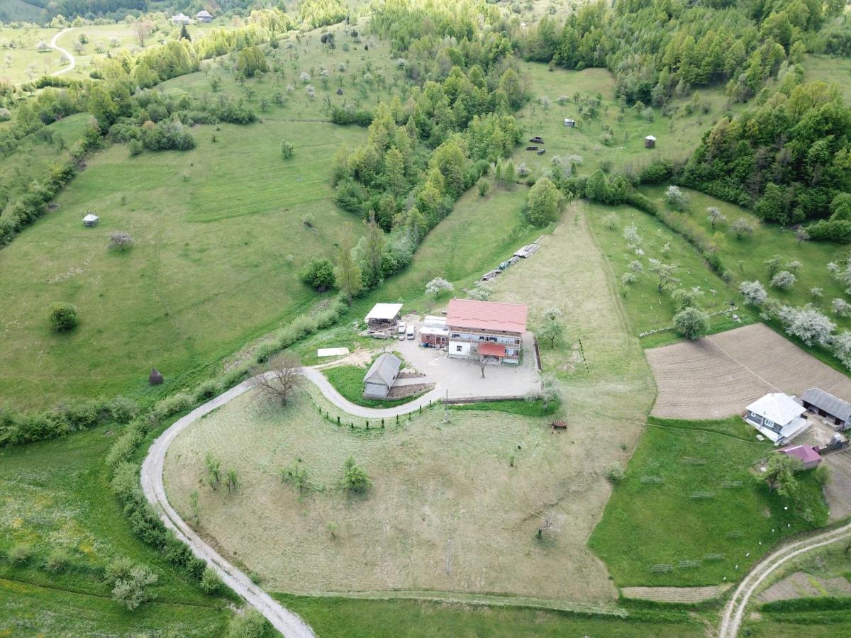 Pensiunea Plai Strabun Szurdok Kültér fotó